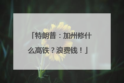 特朗普：加州修什么高铁？浪费钱！
