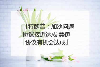 特朗普：加沙问题协议接近达成 美伊协议有机会达成