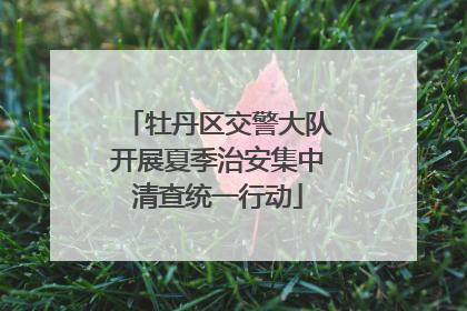 牡丹区交警大队开展夏季治安集中清查统一行动