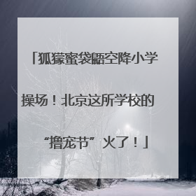 狐獴蜜袋鼯空降小学操场！北京这所学校的“撸宠节”火了！