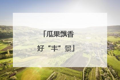 瓜果飘香 好“丰”景