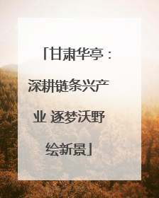甘肃华亭：深耕链条兴产业 逐梦沃野绘新景
