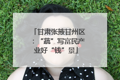 甘肃张掖甘州区：“蔬”写富民产业好“钱”景