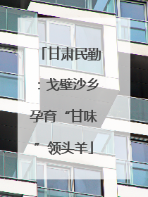 甘肃民勤：戈壁沙乡孕育“甘味”领头羊