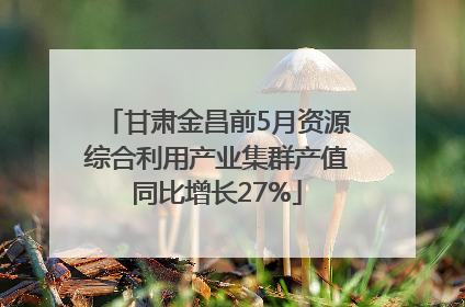 甘肃金昌前5月资源综合利用产业集群产值同比增长27%