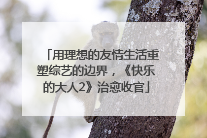 用理想的友情生活重塑综艺的边界，《快乐的大人2》治愈收官
