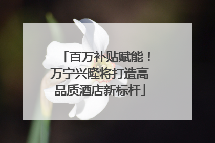 百万补贴赋能！万宁兴隆将打造高品质酒店新标杆