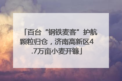 百台“钢铁麦客”护航颗粒归仓，济南高新区4.7万亩小麦开镰