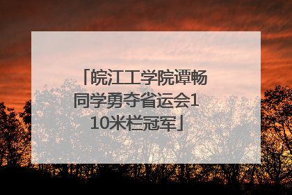 皖江工学院谭畅同学勇夺省运会110米栏冠军