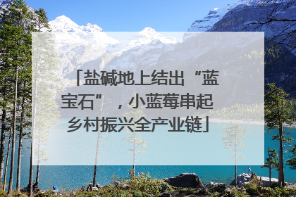 盐碱地上结出“蓝宝石”，小蓝莓串起乡村振兴全产业链