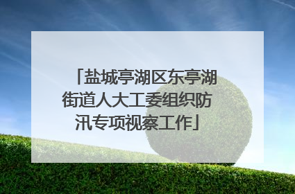 盐城亭湖区东亭湖街道人大工委组织防汛专项视察工作