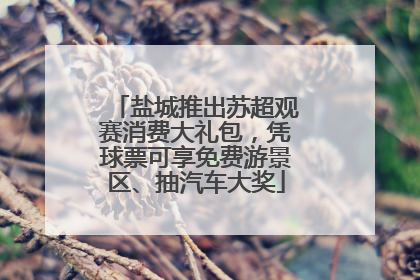 盐城推出苏超观赛消费大礼包，凭球票可享免费游景区、抽汽车大奖