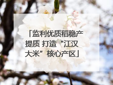 监利优质稻稳产提质 打造“江汉大米”核心产区