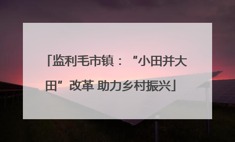 监利毛市镇：“小田并大田”改革 助力乡村振兴