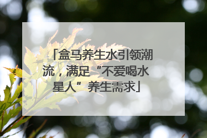 盒马养生水引领潮流，满足“不爱喝水星人”养生需求