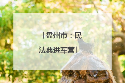 盘州市：民法典进军营