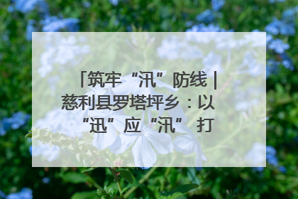 筑牢“汛”防线｜慈利县罗塔坪乡：以“迅”应“汛” 打赢暴雨防御战