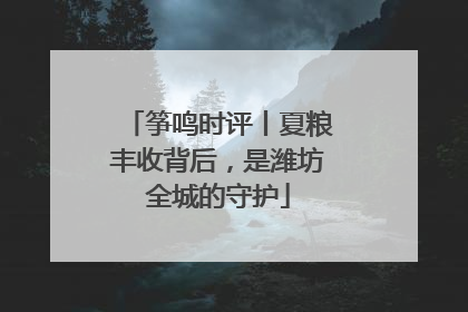 筝鸣时评丨夏粮丰收背后，是潍坊全城的守护