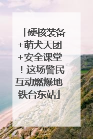 硬核装备+萌犬天团+安全课堂！这场警民互动燃爆地铁台东站