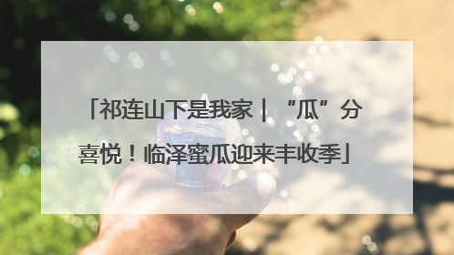 祁连山下是我家｜“瓜”分喜悦！临泽蜜瓜迎来丰收季