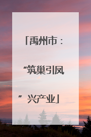 禹州市：“筑巢引凤”兴产业