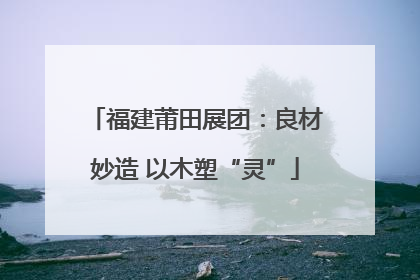 福建莆田展团：良材妙造 以木塑“灵”