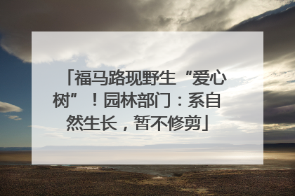 福马路现野生“爱心树”！园林部门：系自然生长，暂不修剪