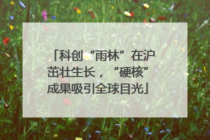 科创“雨林”在沪茁壮生长，“硬核”成果吸引全球目光