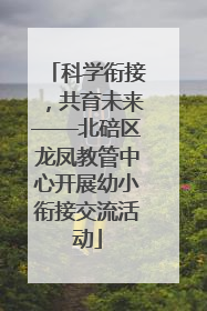 科学衔接，共育未来——北碚区龙凤教管中心开展幼小衔接交流活动