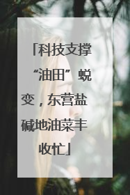 科技支撑“油田”蜕变，东营盐碱地油菜丰收忙