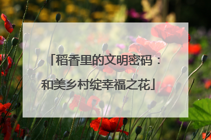 稻香里的文明密码：和美乡村绽幸福之花