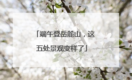 端午登岳麓山，这五处景观变样了