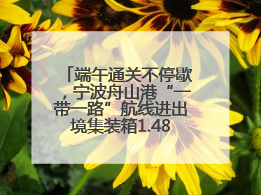 端午通关不停歇，宁波舟山港“一带一路”航线进出境集装箱1.48万标箱