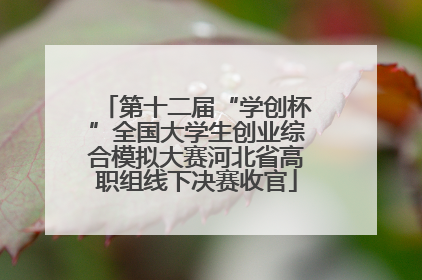 第十二届“学创杯”全国大学生创业综合模拟大赛河北省高职组线下决赛收官