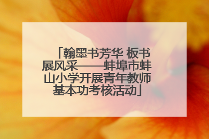 翰墨书芳华 板书展风采——蚌埠市蚌山小学开展青年教师基本功考核活动