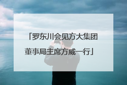 罗东川会见方大集团董事局主席方威一行