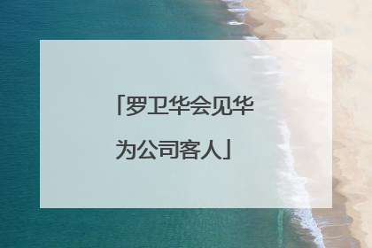 罗卫华会见华为公司客人