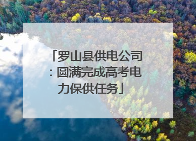 罗山县供电公司：圆满完成高考电力保供任务