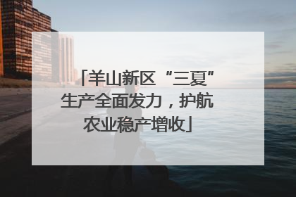 羊山新区“三夏”生产全面发力，护航农业稳产增收