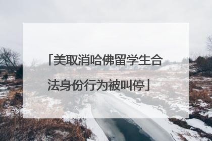 美取消哈佛留学生合法身份行为被叫停