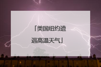 美国纽约遭遇高温天气