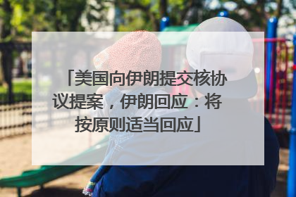 美国向伊朗提交核协议提案，伊朗回应：将按原则适当回应