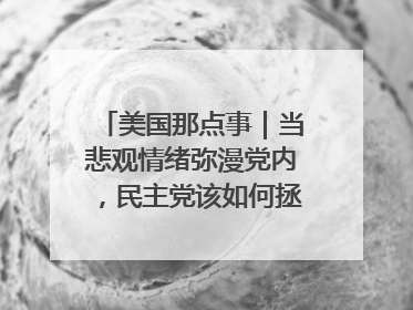 美国那点事｜当悲观情绪弥漫党内，民主党该如何拯救自己？