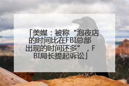美媒：被称“泡夜店的时间比在FBI总部出现的时间还多”，FBI局长提起诉讼