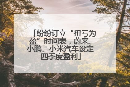 纷纷订立“扭亏为盈”时间表，蔚来、小鹏、小米汽车设定四季度盈利