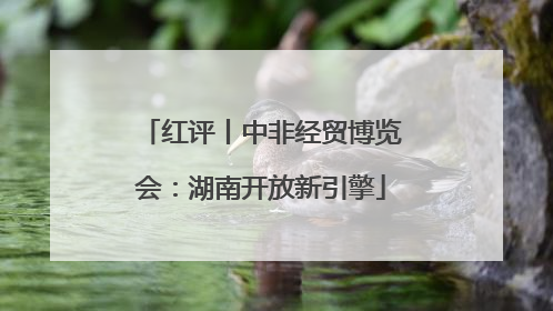 红评丨中非经贸博览会：湖南开放新引擎