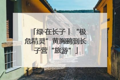 绿·在长子丨“极危精灵”黄胸鹀到长子营“旅游”