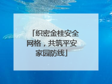 织密金桂安全网格，共筑平安家园防线