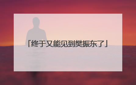终于又能见到樊振东了