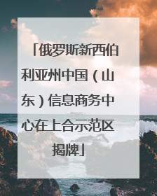 俄罗斯新西伯利亚州中国（山东）信息商务中心在上合示范区揭牌